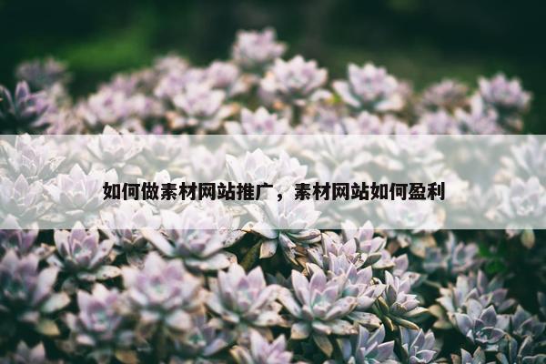 如何做素材网站推广，素材网站如何盈利