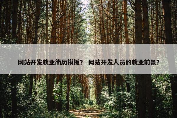 网站开发就业简历模板？ 网站开发人员的就业前景？