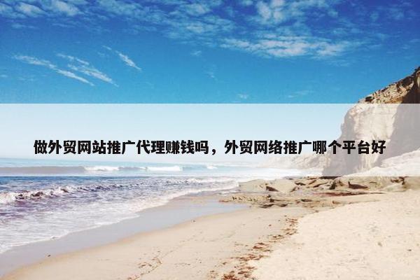 做外贸网站推广代理赚钱吗，外贸网络推广哪个平台好