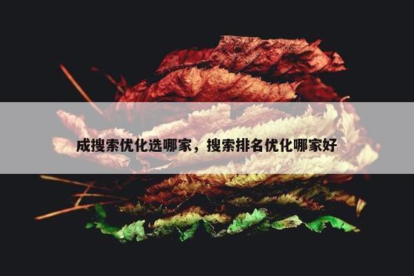 成搜索优化选哪家，搜索排名优化哪家好
