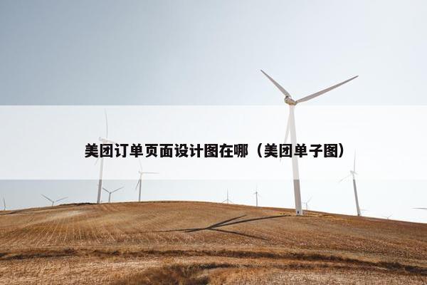 美团订单页面设计图在哪（美团单子图）