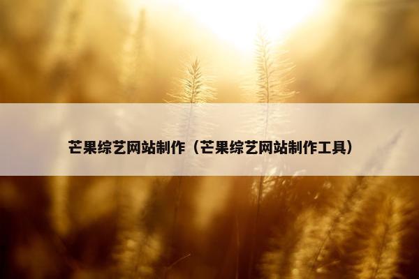 芒果综艺网站制作（芒果综艺网站制作工具）