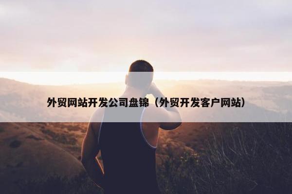 外贸网站开发公司盘锦（外贸开发客户网站）