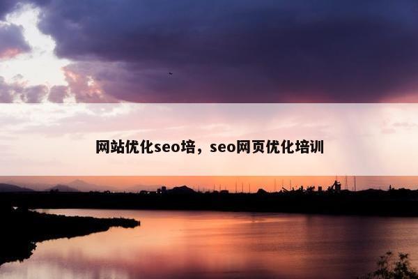 网站优化seo培，seo网页优化培训