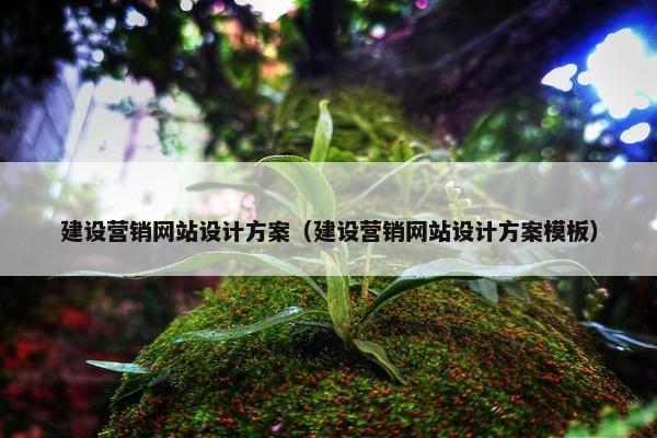 建设营销网站设计方案（建设营销网站设计方案模板）