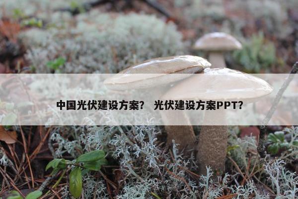 中国光伏建设方案？ 光伏建设方案PPT？