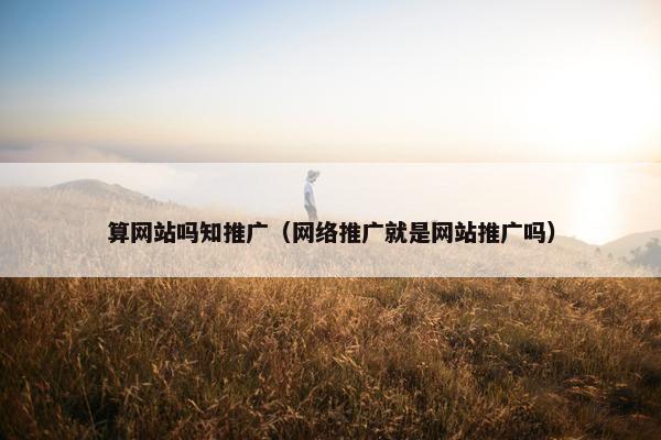 算网站吗知推广（网络推广就是网站推广吗）
