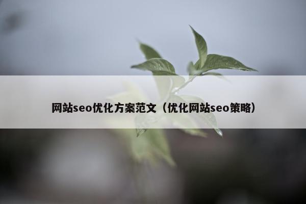 网站seo优化方案范文（优化网站seo策略）