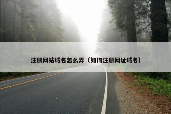 注册网站域名怎么弄（如何注册网址域名）