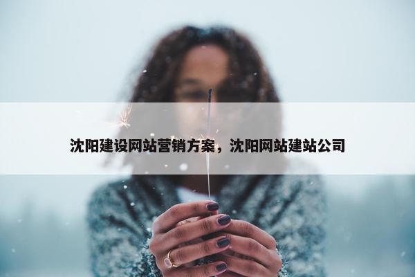 沈阳建设网站营销方案，沈阳网站建站公司