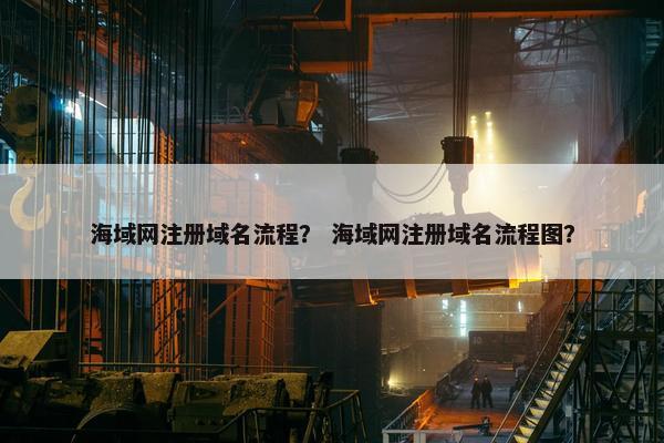 海域网注册域名流程？ 海域网注册域名流程图？