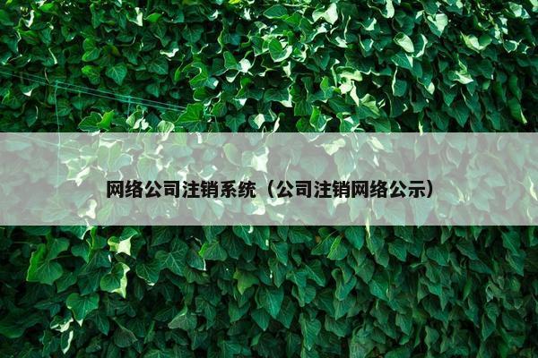 网络公司注销系统（公司注销网络公示）