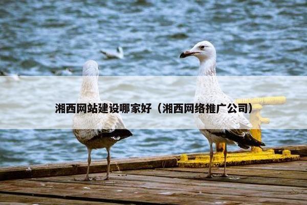 湘西网站建设哪家好（湘西网络推广公司）