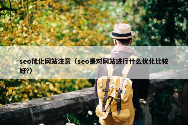 seo优化网站注意（seo是对网站进行什么优化比较好?）
