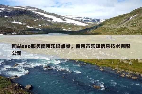 网站seo服务南京乐识点赞，南京市乐知信息技术有限公司