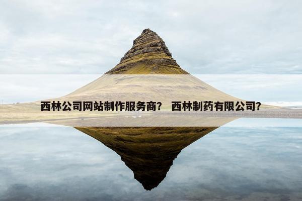 西林公司网站制作服务商？ 西林制药有限公司？