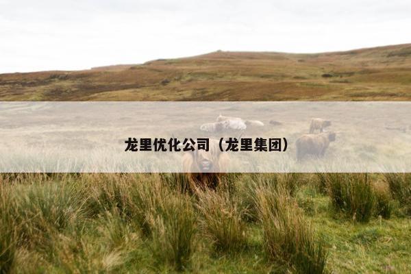 龙里优化公司（龙里集团）