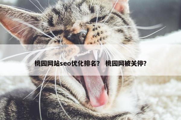 桃园网站seo优化排名？ 桃园网被关停？