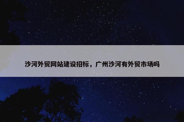 沙河外贸网站建设招标，广州沙河有外贸市场吗