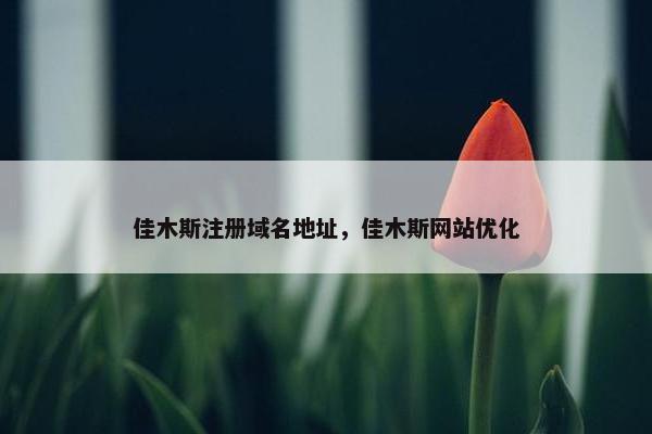 佳木斯注册域名地址，佳木斯网站优化