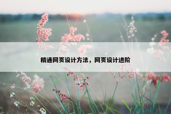 精通网页设计方法，网页设计进阶