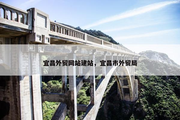 宜昌外贸网站建站，宜昌市外贸局