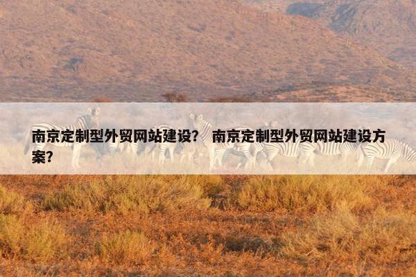 南京定制型外贸网站建设？ 南京定制型外贸网站建设方案？