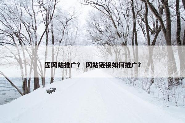 莲网站推广？ 网站链接如何推广？