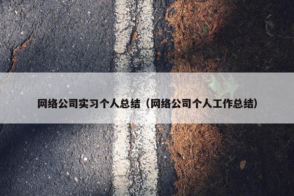 网络公司实习个人总结（网络公司个人工作总结）