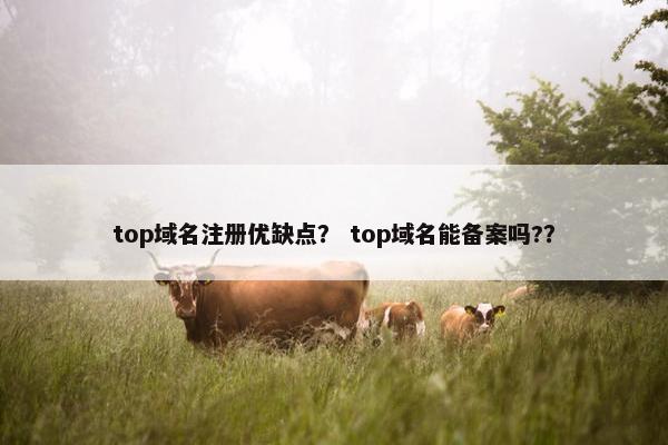 top域名注册优缺点？ top域名能备案吗?？