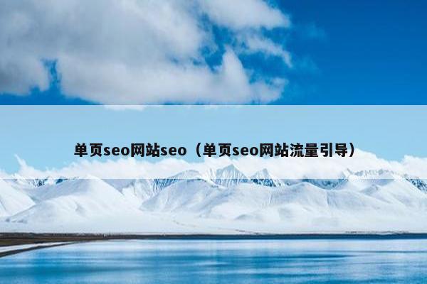 单页seo网站seo（单页seo网站流量引导）