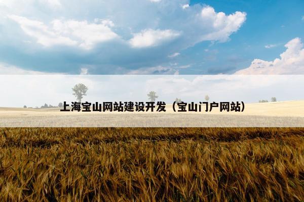 上海宝山网站建设开发（宝山门户网站）