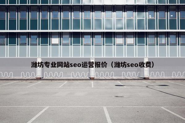 潍坊专业网站seo运营报价（潍坊seo收费）