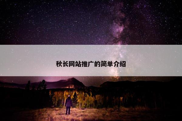 秋长网站推广的简单介绍