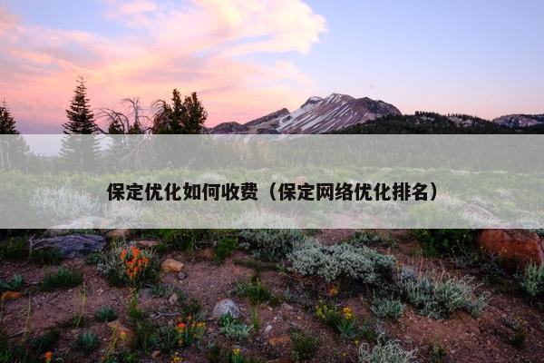 保定优化如何收费（保定网络优化排名）