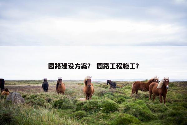 园路建设方案？ 园路工程施工？