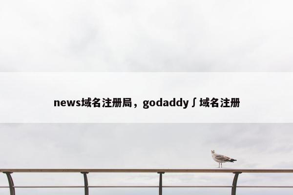 news域名注册局，godaddy∫域名注册