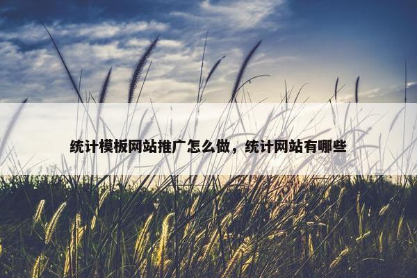 统计模板网站推广怎么做，统计网站有哪些