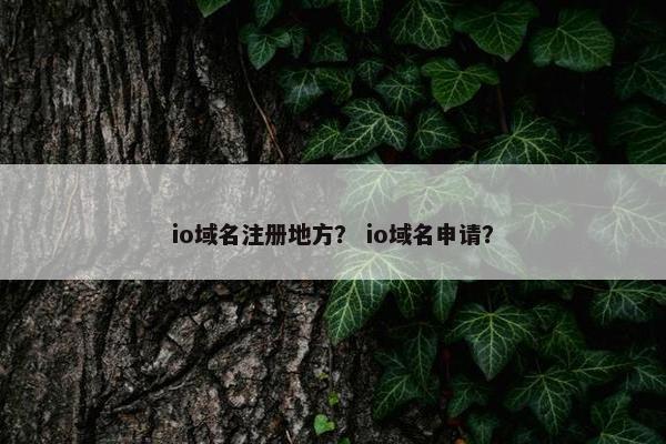 io域名注册地方？ io域名申请？