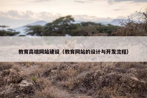 教育高端网站建设（教育网站的设计与开发流程）