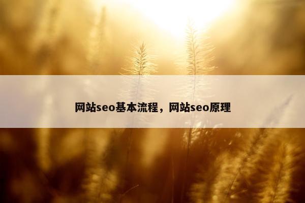 网站seo基本流程，网站seo原理