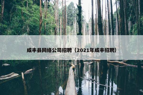 咸丰县网络公司招聘（2021年咸丰招聘）