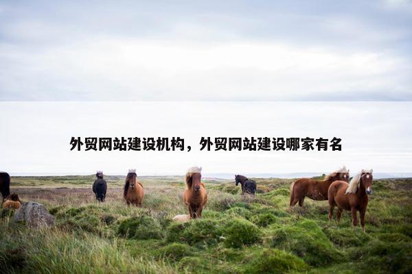 外贸网站建设机构，外贸网站建设哪家有名