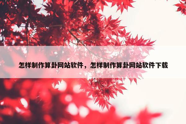 怎样制作算卦网站软件，怎样制作算卦网站软件下载