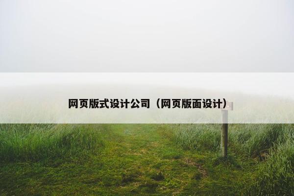网页版式设计公司（网页版面设计）