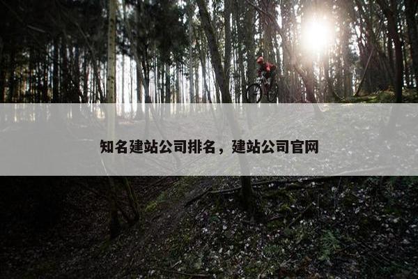 知名建站公司排名，建站公司官网