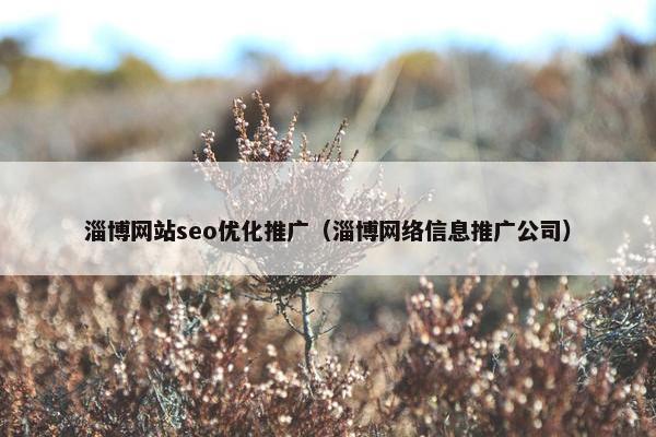 淄博网站seo优化推广（淄博网络信息推广公司）