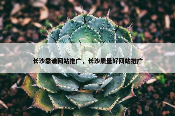 长沙靠谱网站推广，长沙质量好网站推广