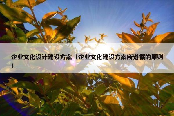企业文化设计建设方案（企业文化建设方案所遵循的原则）