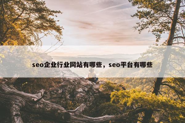 seo企业行业网站有哪些，seo平台有哪些